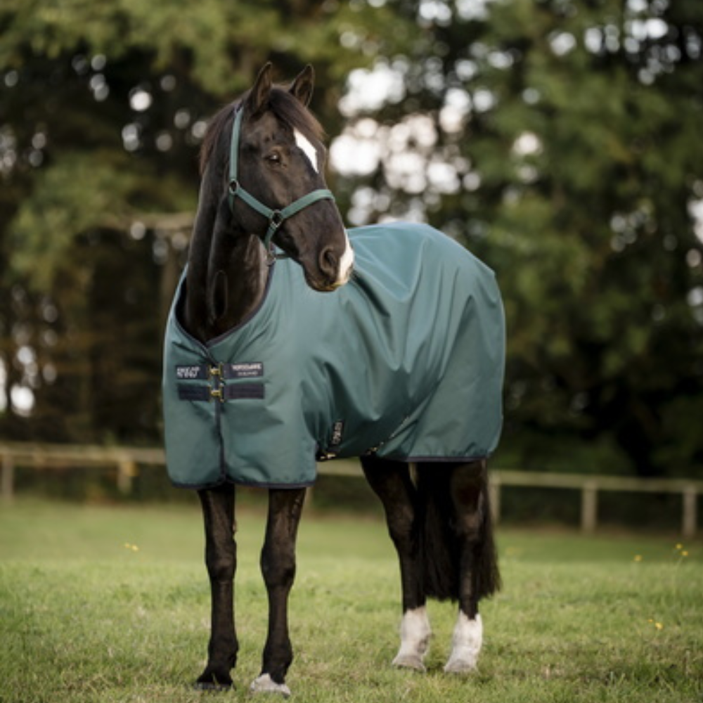 Horseware Ireland Amigo Ripstop 900D 100g Turnout Rug #colour_dynasty-green-navy-silver