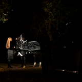 Horseware Ireland Amigo 1200D FieldSafe Reflectech Plus 0g Turnout Rug #colour_black-reflective-black