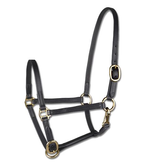 STAR Leather Foal Halter #colour_black