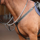 Shires Lusso Three Point Elastic Breastplate #colour_black