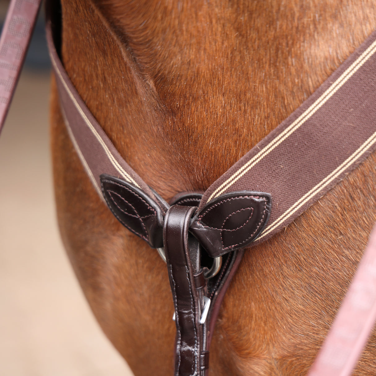 Shires Lusso Three Point Elastic Breastplate #colour_brown