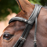 Shires Velociti LUSSO Opus 180M Padded Flash Bridle #colour_black