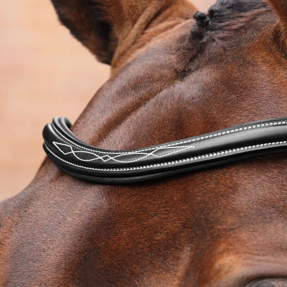 Shires Velociti LUSSO Opus 180M Padded Flash Bridle #colour_black