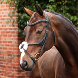 Shires Velociti LUSSO Opus 180M Grackle Bridle #colour_black
