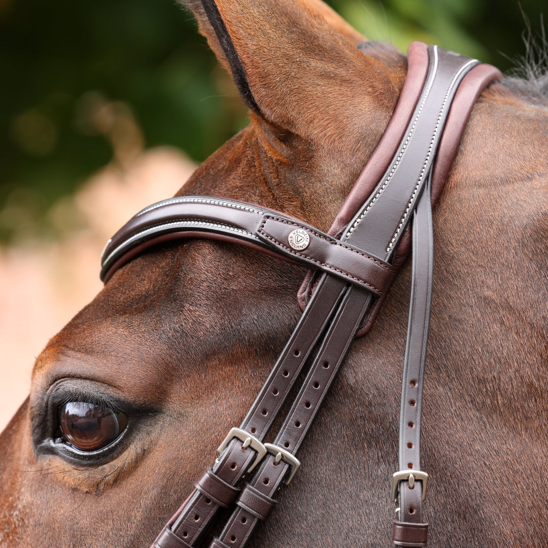 Shires Velociti LUSSO Opus 180M Grackle Bridle #colour_havana