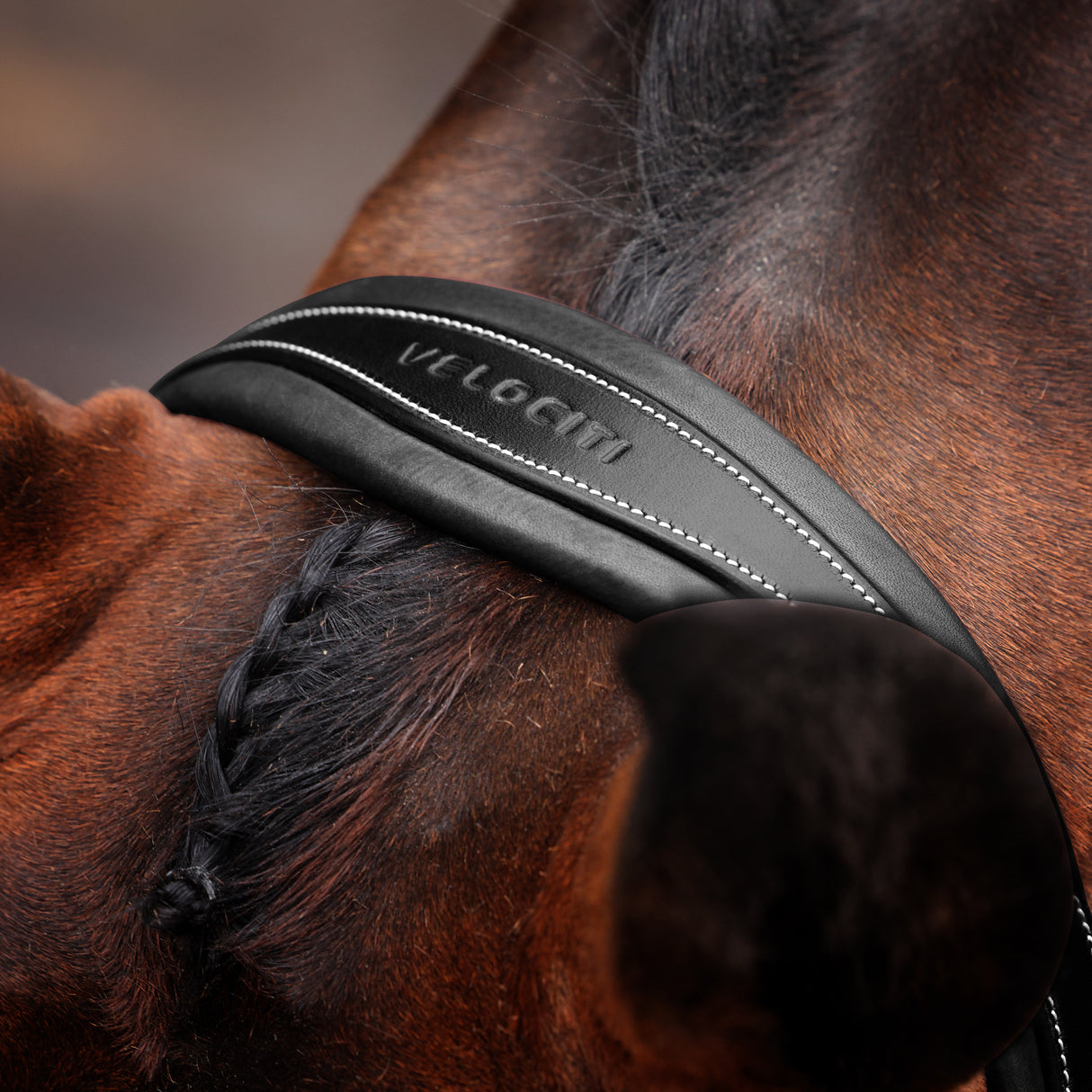 Shires Velociti LUSSO Opus 180M Ergonomic Flash Bridle #colour_black