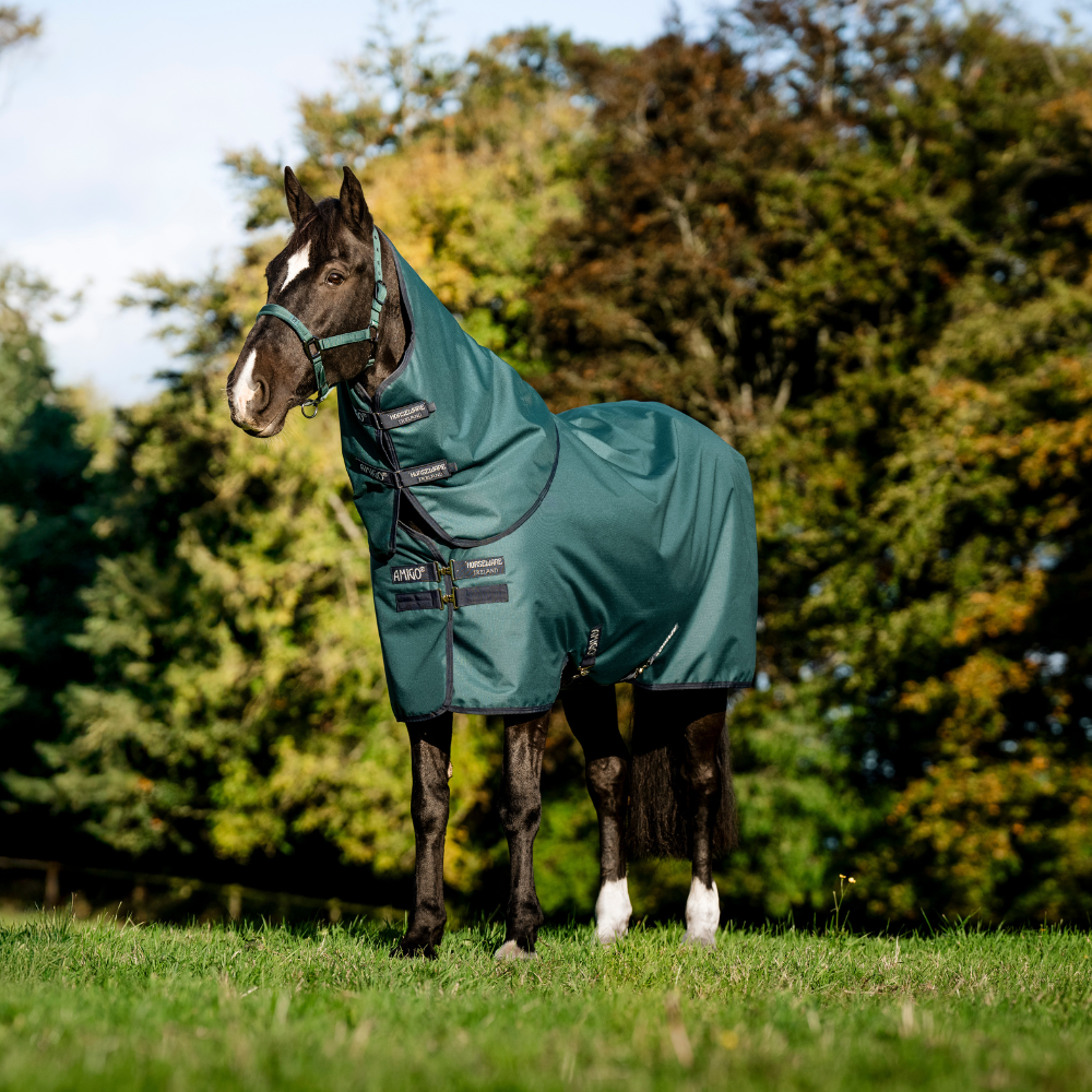 Horseware Ireland Amigo Ripstop 900 Plus 0g #colour_dynasty-green-navy-silver