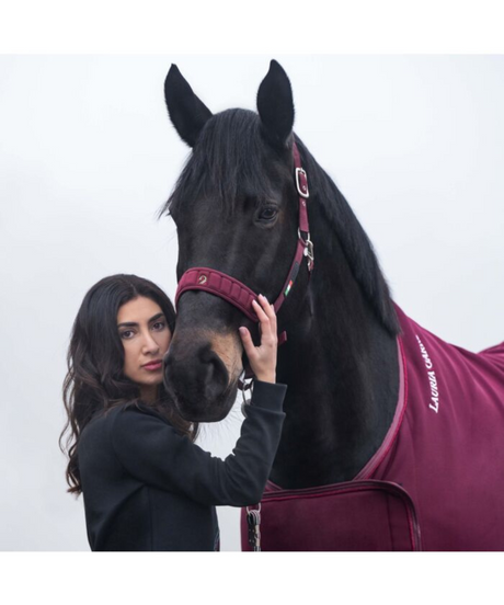 HKM Head Collar -Livigno- #colour_bordeaux