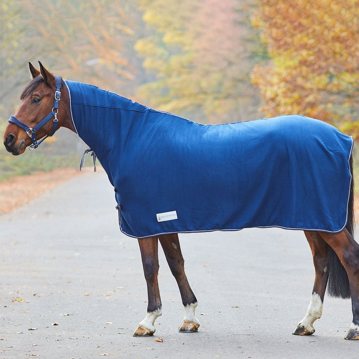 E.L.T Economic Fleece Rug with Hood #colour_navy