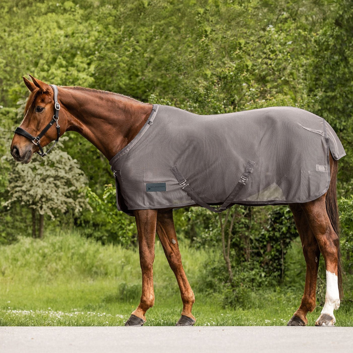 Waldhausen Comfort Fly Rug with Crossover Straps #colour_grey