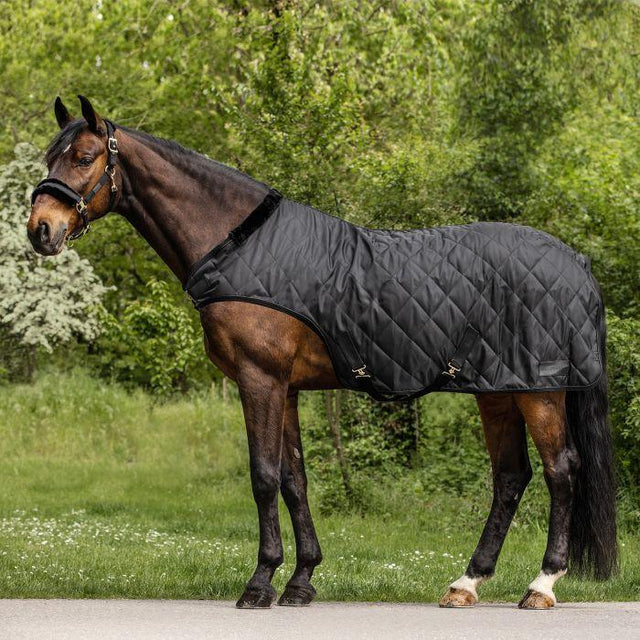 Waldhausen Exclusive Horsewalker Rug #colour_black