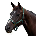 Dublin Everyday Nylon Headcollar for Horses