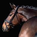 Finesse Cassidy Snaffle Bridle #colour_black-black-silver