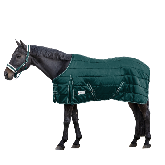 Waldhausen Economic 100g Stable Rug #colour_fir-green