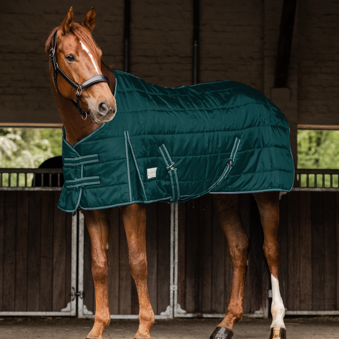 Waldhausen Economic 100g Stable Rug #colour_fir-green