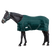 Waldhausen Economic 300g Stable Rug #colour_fir-green