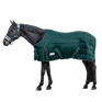 Waldhausen Economic 300g Stable Rug #colour_fir-green