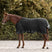 Waldhausen Scandic 50g Turnout Rug #colour_black