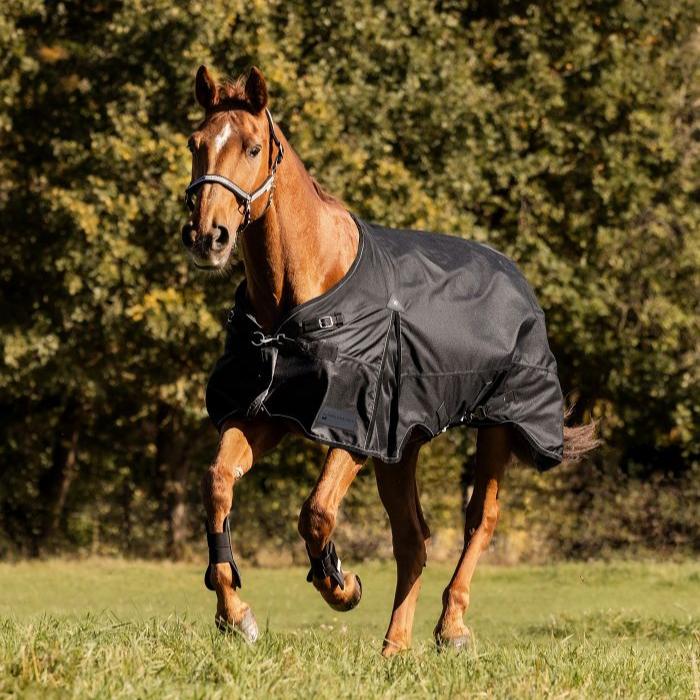 Waldhausen Scandic 300g Turnout Rug #colour_black