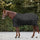 Waldhausen Nordic 200g Turnout Rug #colour_black