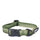 Mountain Paws Waterproof Dog Collar #colour_green