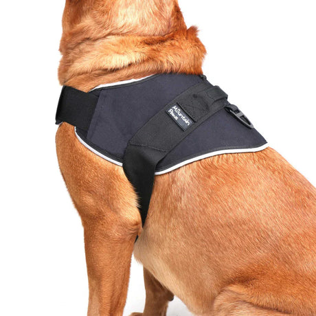 Mountain Paws Extra Tough Dog Harness #colour_black