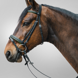 Waldhausen Star Diamond Bridle #colour_black-green