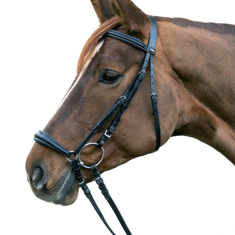 STAR Hannover Bridle #colour_black