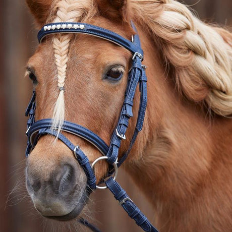 Waldhausen Lucky Bridle #colour_night-blue-silver