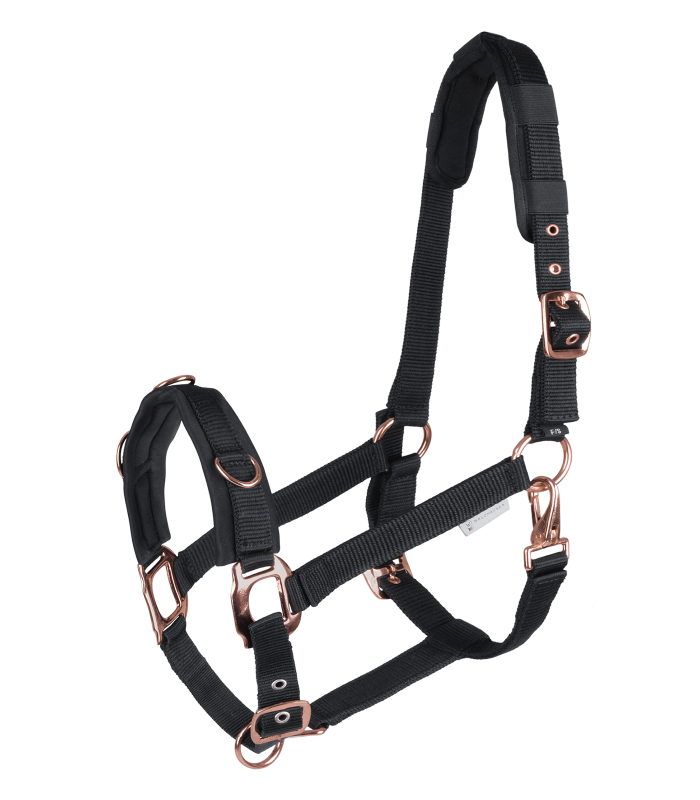 Waldhausen Rosé Lunging Halter #colour_black