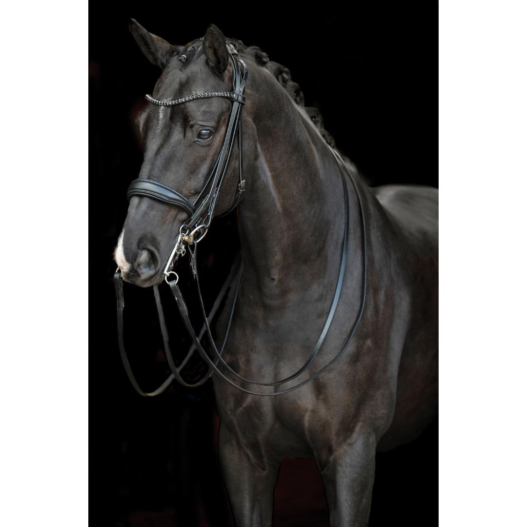 HKM Double Bridle -Grace- #colour_black