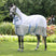Shires Tempest Original Fly Mesh Combo Rug #colour_sky