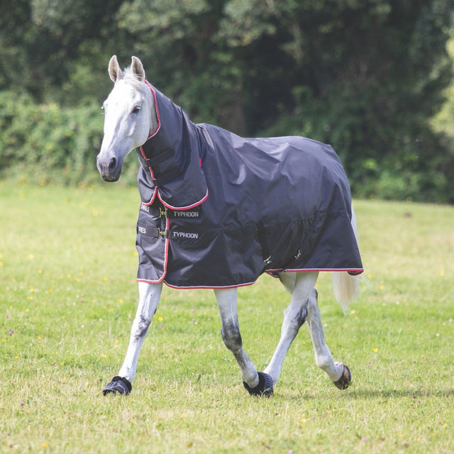 Shires Typhoon 200g Combo Turnout Rug #colour_black