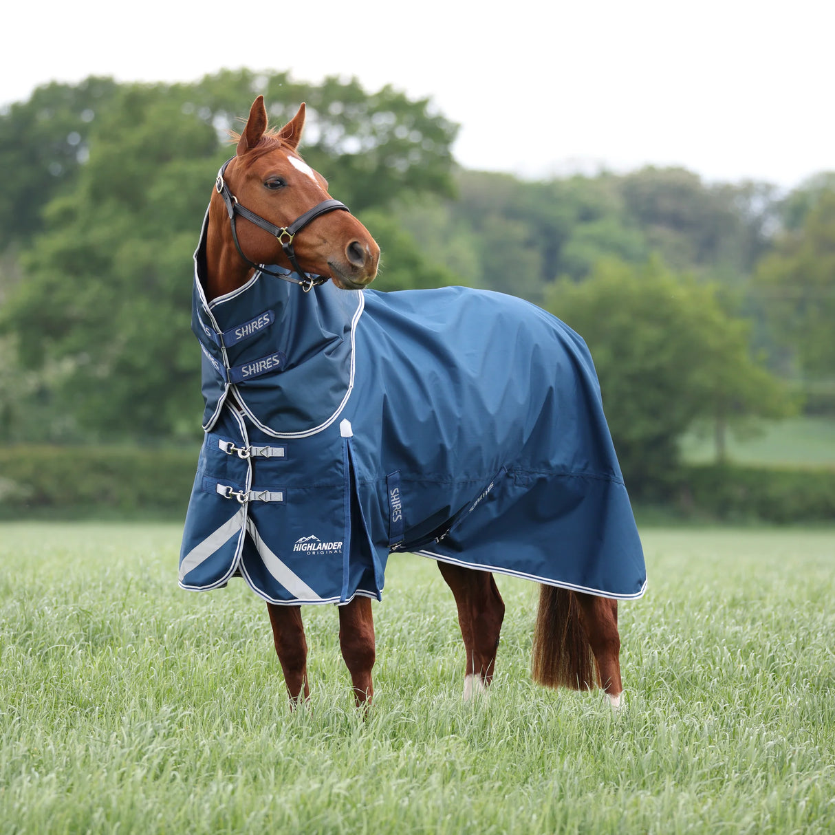 Shires Highlander Original 50g Turnout Rug & Neck #colour_ocean