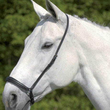 Waldhausen S-Line Drop Noseband #colour_black