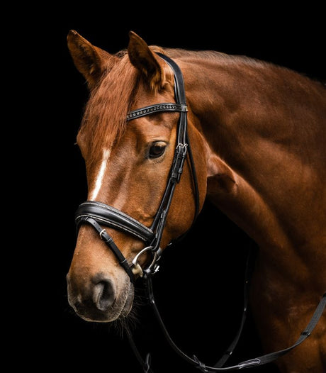 Waldhausen S-Line Snaffle Bridle Glamour #colour_black