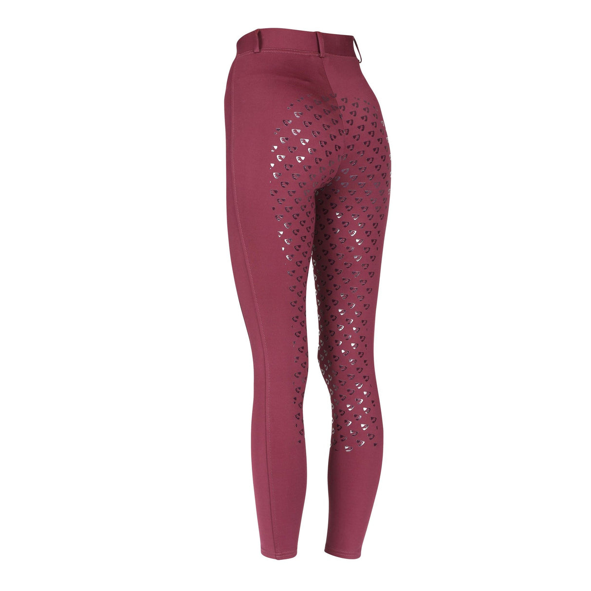 Shires Aubrion Albany Damen-Reitstrumpfhose