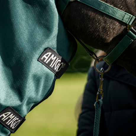 Horseware Ireland Amigo Ripstop 900D Plus 50g Pony Turnout Rug #colour_dynasty-green-navy-silver