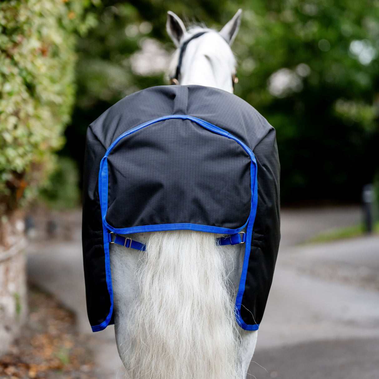 Horseware Ireland Amigo Ripstop 900D 50g Pony Turnout Rug #colour_black-classic-blue