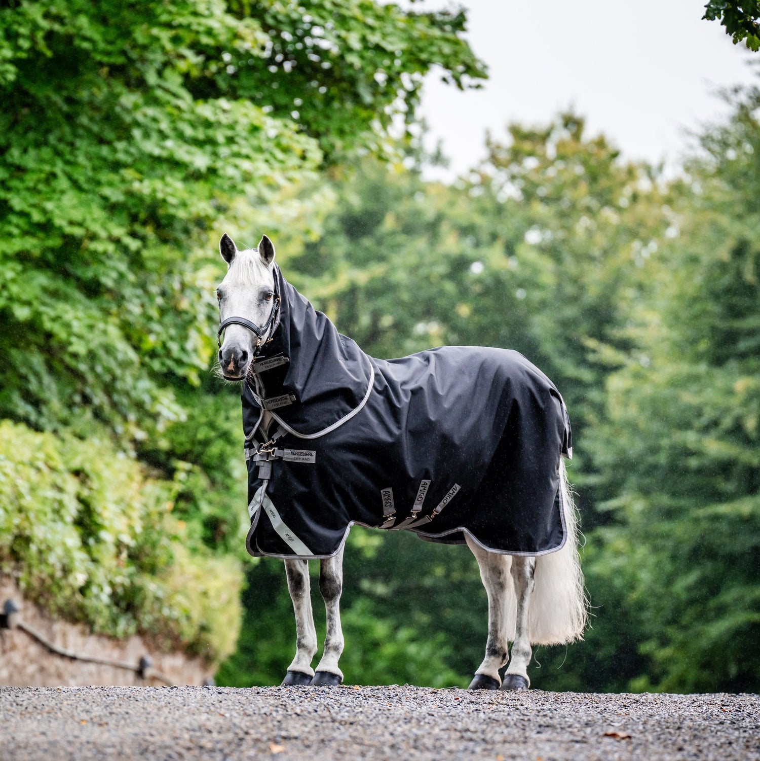 Horseware Ireland Amigo Bravo 12 Plus 100g #colour_black-titanium-grey-silver