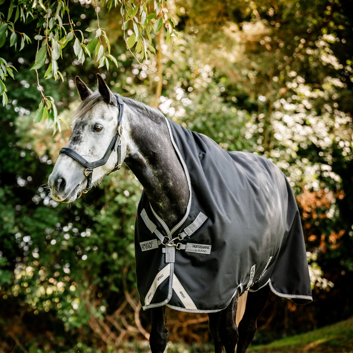 Horseware Ireland Amigo Bravo 12 Wug 0g Lite Turnout Rug #colour_black-titanium-grey-silver