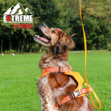 Ancol Extreme Hybrid Harness #colour_orange