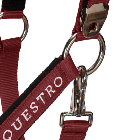 Padded double adjustment headcollar
