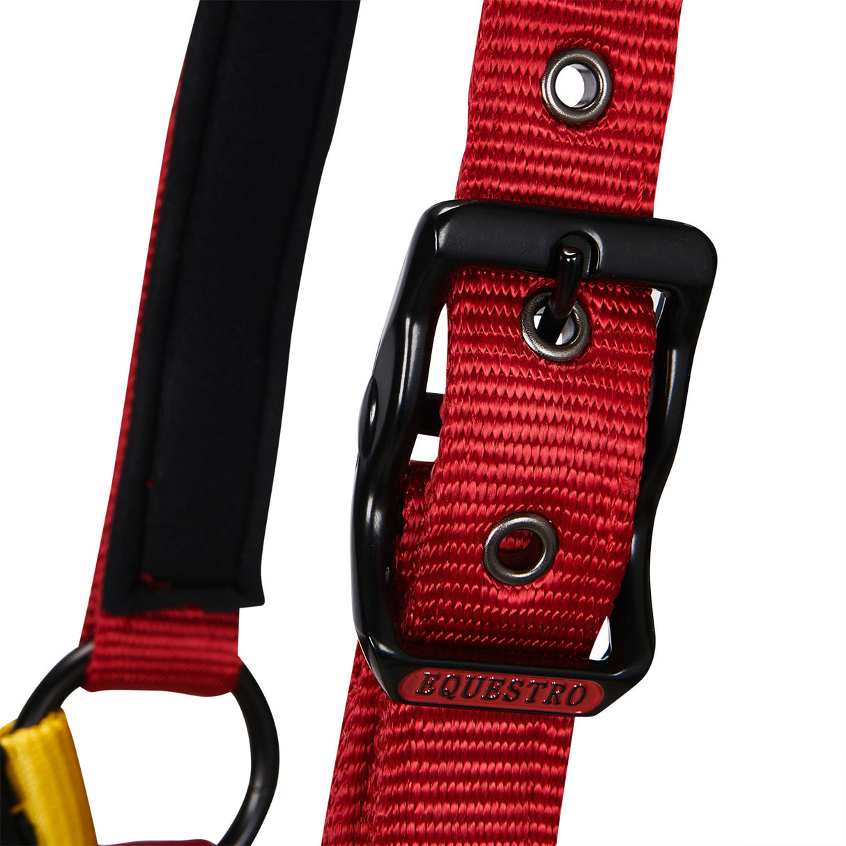 Equestro Nylon Halter With Snap Hook #colour_black