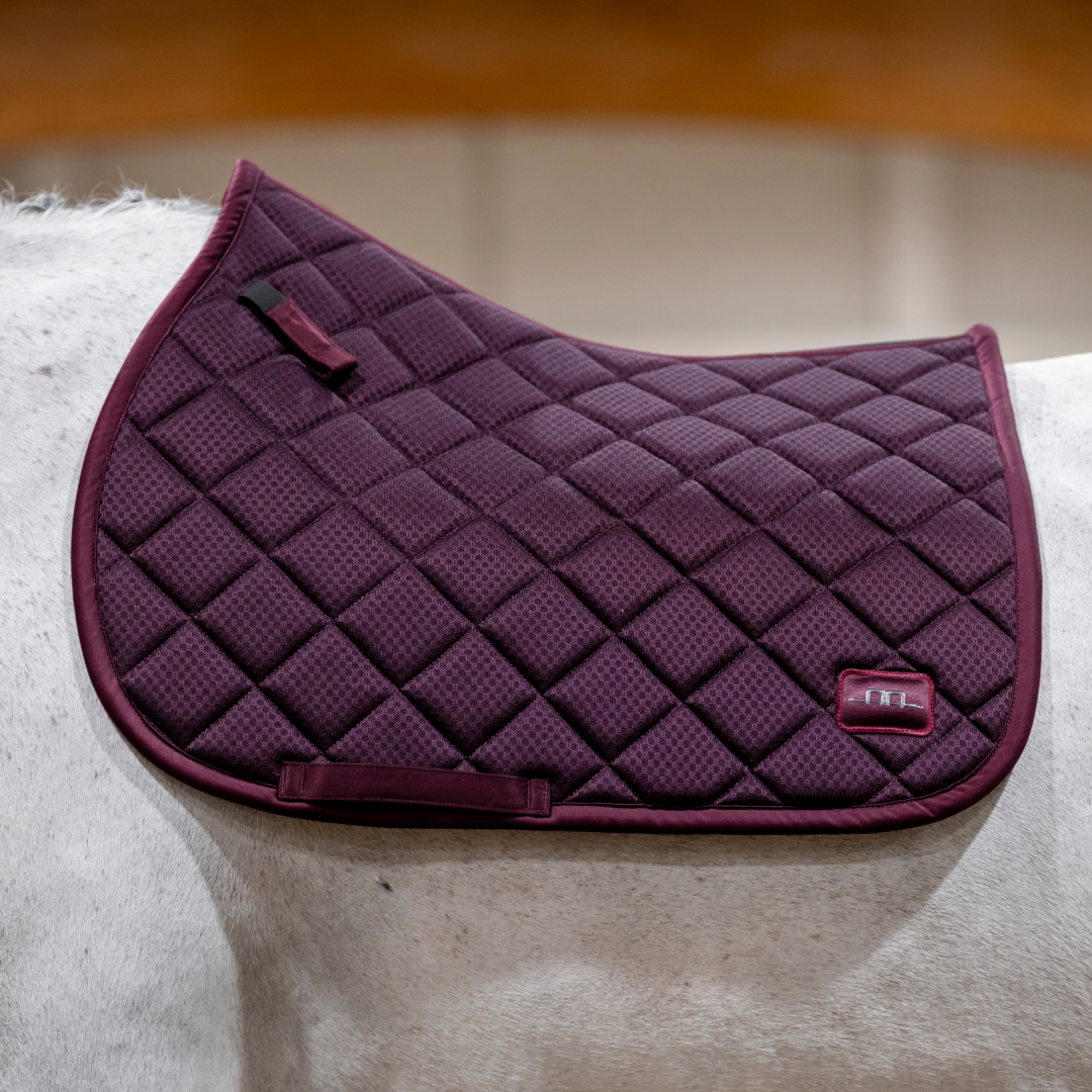 Horseware Ireland Alessandro Albanese Performance Jump Pad