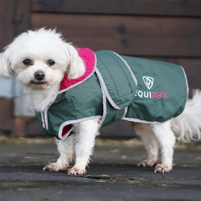 EQUIDRY Dog Coat #colour_black-forest-green-peacock-pink
