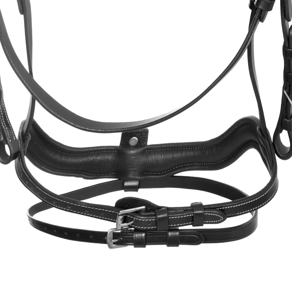 Anatomical bridle with curved noseband
