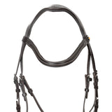 Anatomical bridle with curved noseband