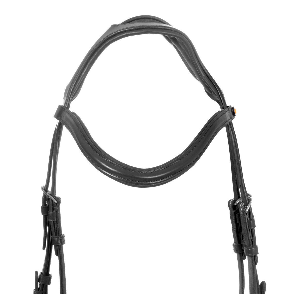English bridle with anatomical noseband