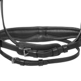 English bridle with anatomical noseband